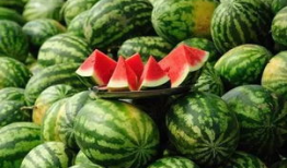 tai9吃瓜爆料,tai9吃瓜爆料，带你直击幕后真相